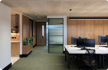 Experienced Professionals